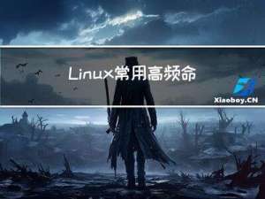 Linux常用高频命令
