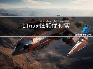 Linux性能优化实战