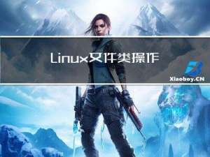 Linux文件类操作命令以及参数详解