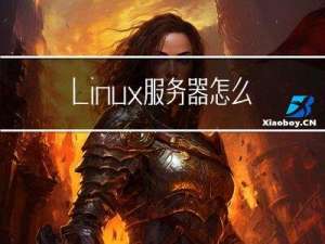 Linux服务器怎么分区