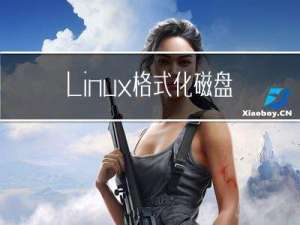 Linux 格式化磁盘，制作文件系统 =＞ 报错: dev/sdb is NOT identified.