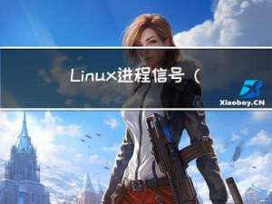 Linux进程信号（上）