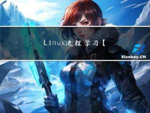 Linux进程学习【进程地址】