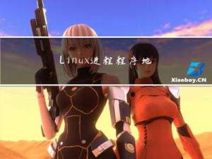 Linux 进程：程序地址空间 与 虚拟内存