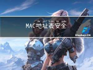 MAC地址表安全