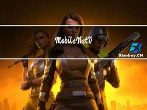 MobileNetV3详细原理（含torch源码）