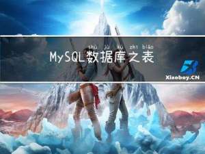 MySQL数据库之表的增删改查（基础）