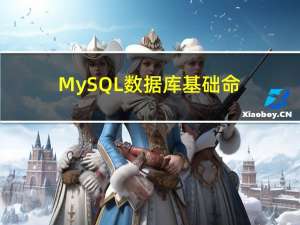 MySQL 数据库基础命令