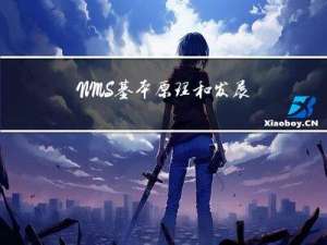NMS基本原理和发展