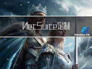 NetSuite定制表格布局的要点