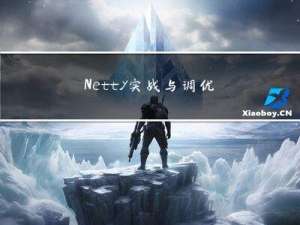 Netty实战与调优
