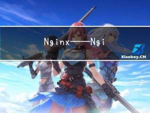 Nginx——Nginx优化方案设计