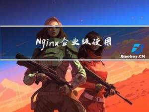 Nginx企业级使用2 （运维笔记）