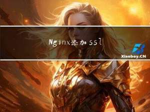 Nginx添加ssl（支持https访问）