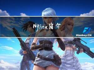 Nginx简介