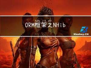 ORM框架之NHibernate