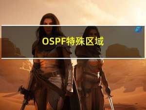 OSPF----特殊区域