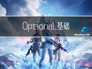 Optional基础用法