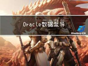 Oracle 数据泵导出导入(映射表空间、Schema)