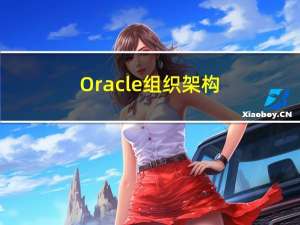 Oracle组织架构