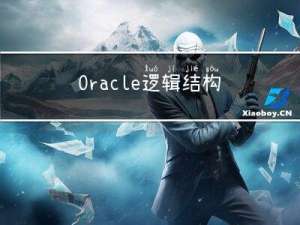 Oracle 逻辑结构体系