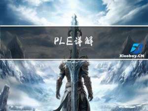 PLE详解