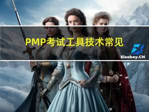 PMP 考试工具技术常见翻译问题