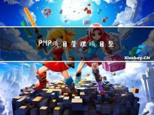 PMP项目管理项目整合管理