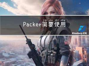 Packer 简要使用说明