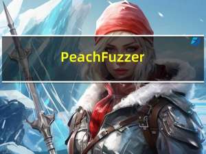 Peach Fuzzer漏洞挖掘实战