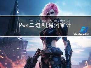 Pwn 二进制漏洞审计