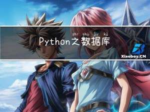Python之数据库操作（连接数据库，增删改查操作，易错点理解）