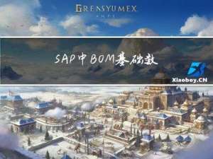 SAP中BOM基础数量及组件数量单位比例关系的注意事项