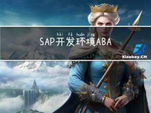 SAP开发环境ABAP的搭建(客户端和服务器),Developer Key和AccessKey的绕过方法