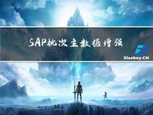 SAP批次主数据增强屏幕增强＜转载＞