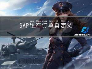 SAP 生产订单自定义订单状态