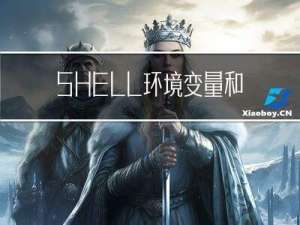 SHELL环境变量和引用