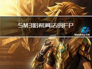 SM3哈希算法的FPGA实现 I