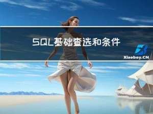 SQL基础查选和条件查选