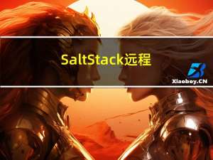 SaltStack 远程命令执行漏洞（CVE-2020-16846）