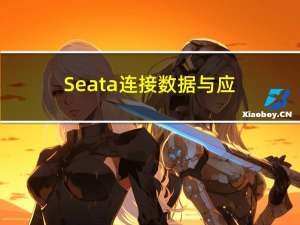 Seata：连接数据与应用