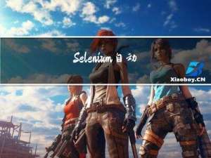Selenium自动化测试实战2-WebDriver高级运用