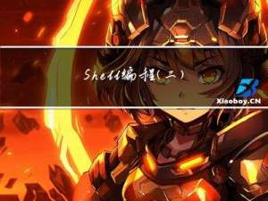 Shell编程(二）