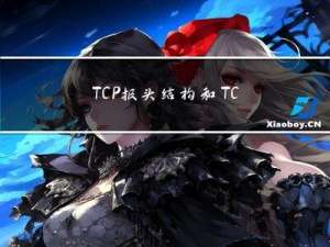 TCP报头结构和TCP协议特性