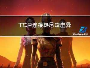 TCP连接耗尽攻击异常报文攻击与防御