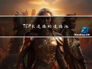 TCP长连接的连接池、容量控制与心跳保活