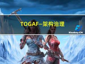 TOGAF—架构治理