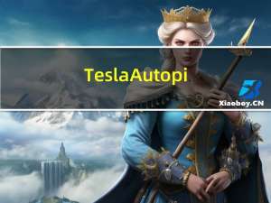 Tesla Autopilot,处理器和硬件
