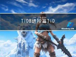 TiDB进阶篇-TiDB Server架构
