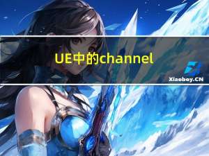 UE中的channel